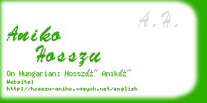 aniko hosszu business card